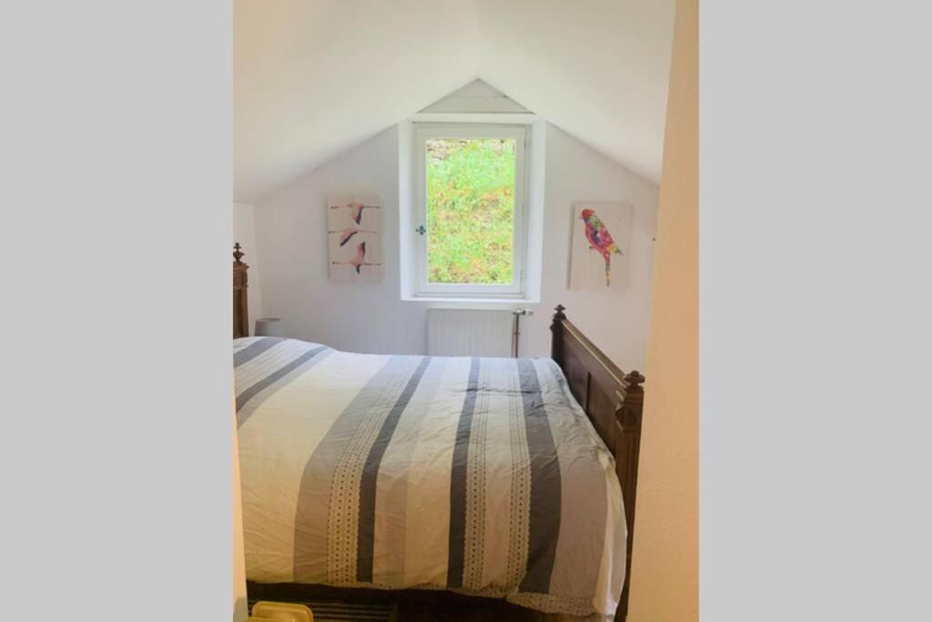 Le Hameau De Sylvanes Ngoại thất bức ảnh